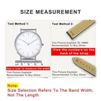 Oyster Stainless Steel Bracelet Models Watch Strap High Quality